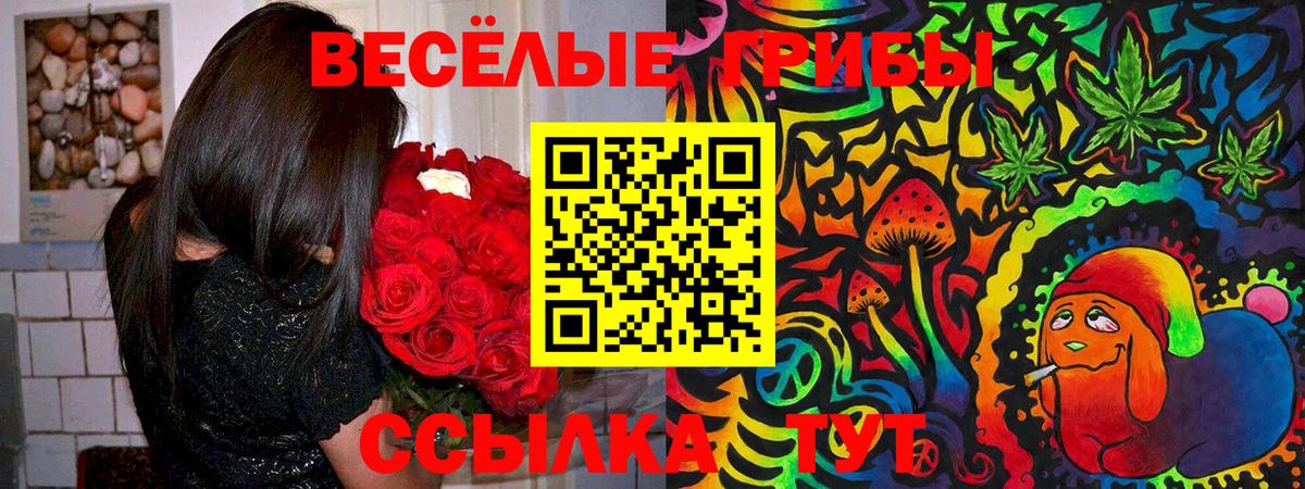 Галлюциногенные грибы MAGIC MUSHROOMS  Вход с VPN  Электрогорск 