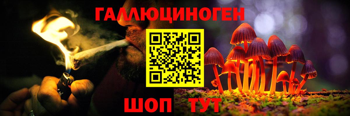 Галлюциногенные грибы Cubensis Электрогорск